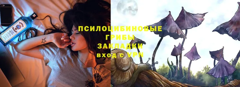 Галлюциногенные грибы Psilocybe  Артёмовский 